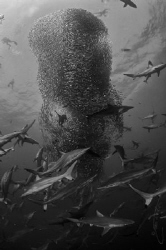 ~ Vortex ~ by Geo Cloete 